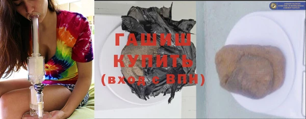 прущие грибы Абаза