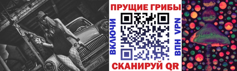 Псилоцибиновые грибы Psilocybine cubensis  Белореченск 